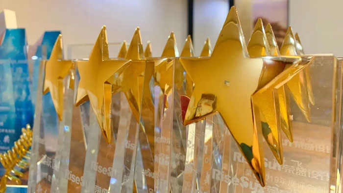 榮盛設(shè)計(jì)2019年度評(píng)先創(chuàng)優(yōu)頒獎(jiǎng)儀式圓滿落幕